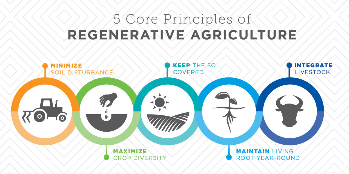 regenerative agriculture principles